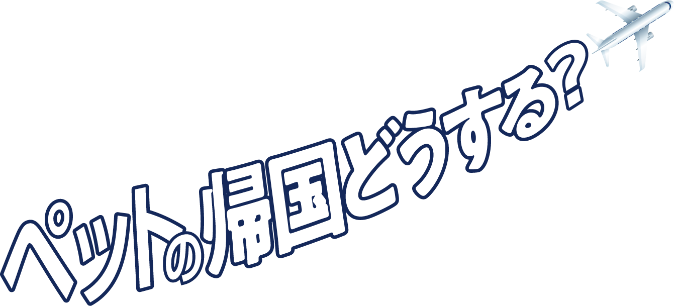 帰国編 イギリスから日本に向けてペットの帰国どうする?教えて エコノムーブジャパン!